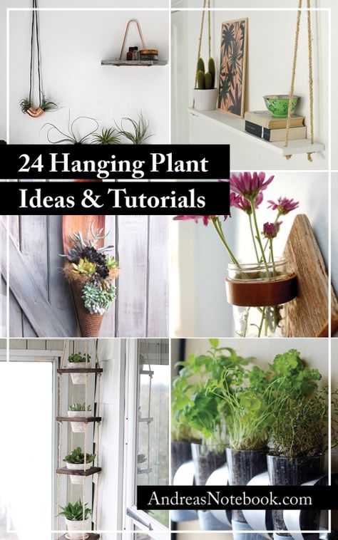 24 Ways to Hang Plants on the Wall - Andrea's Notebook Hanging Wood Shelf With Rope Diy, Plants Hanging On Curtain Rod, Hanging Shelf Decor Ideas, Wall Hanging Planters Indoor, Rope Shelf Diy, Boho Hanging Shelves, Diy Hanging Shelves Easy, Diy Hanging Plant Shelves, Shelf Hanging Hacks