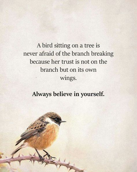 Always Believe In Yourself, Bird Quotes, Inspirational Messages, Always Believe, White Snowflake, Believe In Yourself, A Quote, Beautiful Quotes, Meaningful Quotes