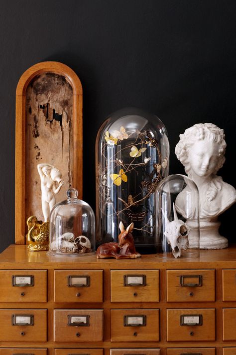 cloche with butterflies-not so keen on the skulls Cabinet Of Curiosity, Bad Inspiration, Cabinet Of Curiosities, Glass Domes, Ikea Hack, Wasting Time, Natural History, 인테리어 디자인, Victorian Homes