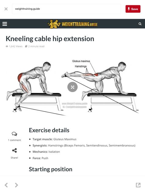 Bowflex Workout Routine, Leg Workouts For Men, Bowflex Workout, Hip Extension, Cable Workout, Glute Exercises, Low Carb Recipe, Glute Workout, Trening Fitness