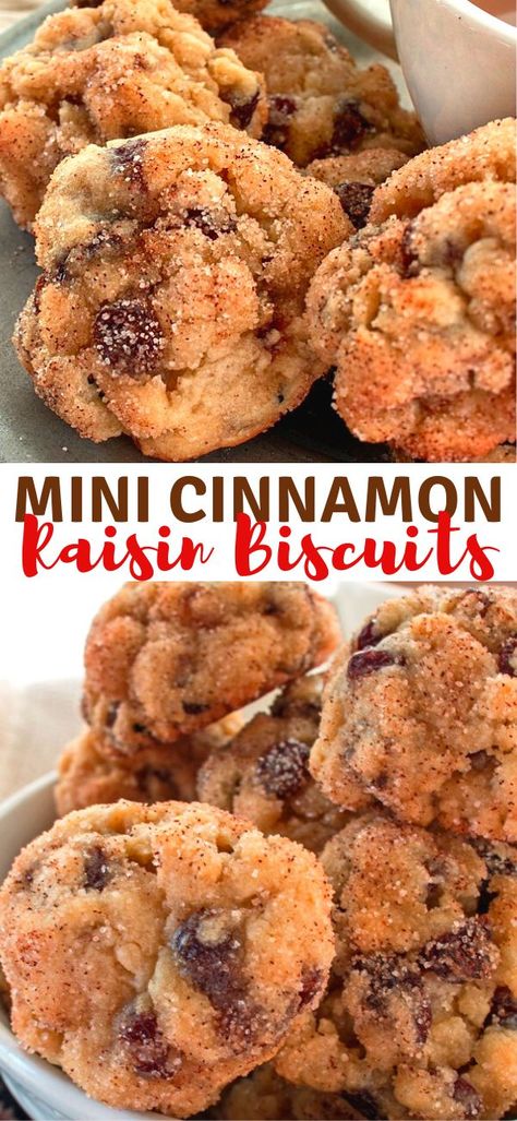 These Mini Cinnamon Raisin Biscuits are a nice alternative to cookies. The biscuit texture is extremely tender and studded with plump soft raisins. Cinnamon Raisin Cake, Cinnamon Raisin Recipes, Baking With Raisins, Cookies With Raisins Recipes, Recipes With Raisins Baking, Recipes Using Raisins, Raisin Desserts, Recipes With Raisins, Raisin Biscuits Recipe