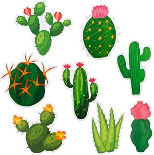 Amazon.com : cactus bulletin board border Welcome Sign Classroom, Bulletin Board Wall, Cactus Centerpiece, Cactus Lamp, Cactus Light, Paper Cactus, Prickly Cactus, Cactus Craft, Classroom Bulletin Board