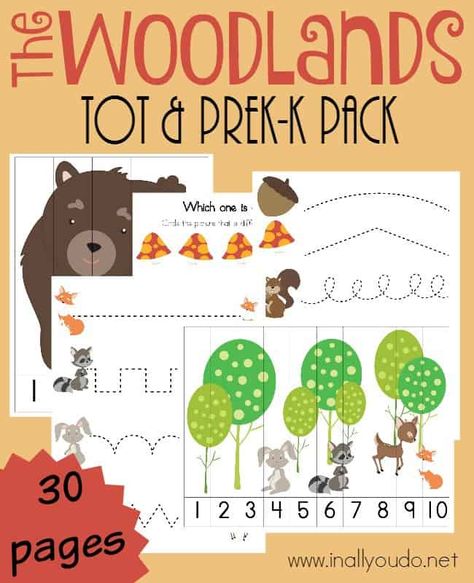 If you're studying the woodlands this year, don't miss this ADORABLE Tot & PreK-K Pack for your little learners! {30 pages} :: www.inallyoudo.net Forest Animals Preschool, Forest Preschool, Camping Theme Preschool, Forest Animals Theme, Camping Classroom, Theme Activity, Preschool Printable, Tot School, Preschool Themes