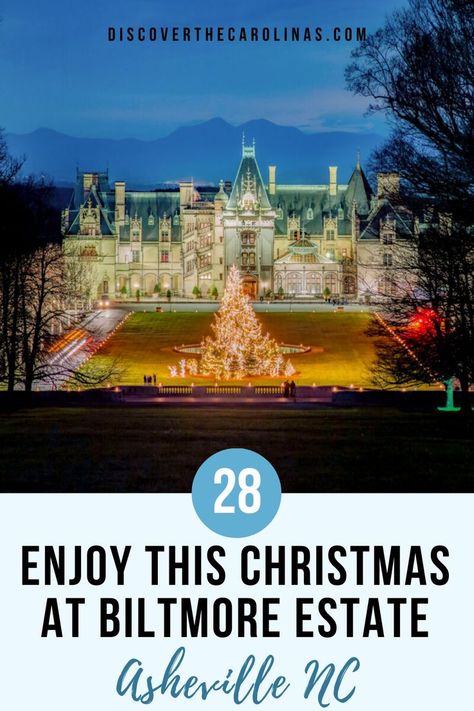 Step into the enchanting world of Christmas at Biltmore Estate in Asheville, NC. Immerse yourself in the holiday magic, from dazzling lights to festive décor. Read the full blog to discover the unparalleled charm of a Biltmore Christmas. ✨🎄 #BiltmoreChristmas #HolidayMagic #AshevilleNC #ChristmasTraditions #DiscoverTheCarolinas #FestiveElegance #BiltmoreExperience #SeasonalSplendor Biltmore Estate Christmas, Biltmore Estate Asheville Nc, Biltmore Christmas, Lights Decorations, The Carolinas, Biltmore Estate, Cultural Events, Urban Life, City Living