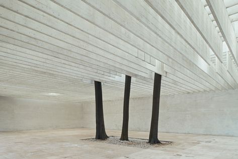 AD Classics: Nordic Pavilion in Venice,The Nordic Pavilion (Giardini, Venice). Image © Åke E:son Lindman Nordic Pavilion, Sverre Fehn, Nordic Architecture, Houses Architecture, Magic Places, Arch Interior, Timber Beams, Architectural Photographers, Venice Biennale