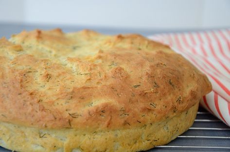 No Knead Dill Bread - The Wine Lover's Kitchen Dill Bread, Making Dill Pickles, Bread Yeast, Dill Recipes, Different Types Of Bread, Creamy Dip, Instant Pot Pork, Dill Pickles, Canadian Food