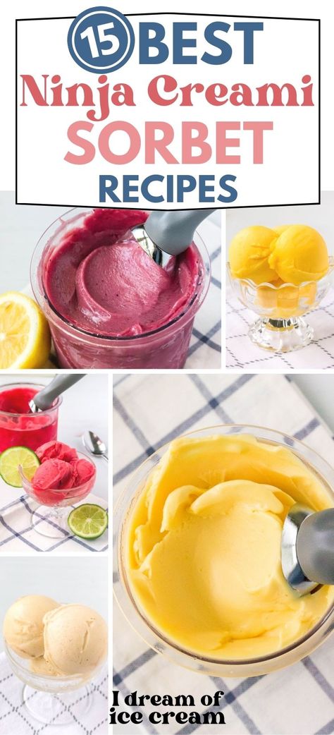 Ninja Creami Sorbet, Ice Cream Maker Recipes Healthy, Ninja Ice Cream Recipe, Frozen Fruit Recipes, Sherbet Recipes, Pineapple Sorbet, Healthy Ice Cream Recipes, Fruit Sorbet, Berry Sorbet