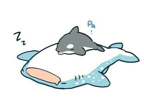 Soumako Fanart, Whale Shark Drawing Cute, Orca Characters Design, Cute Whale Shark, Yamazaki Sousuke, Shark Drawing, Shark Art, Cute Shark, Eternal Summer