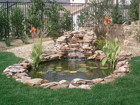 Small Backyard Ponds, Pond Construction, Fish Pond Gardens, Kolam Air, Backyard Ponds, Kolam Koi, Taman Air, Backyard Pond, Garden Pond Design