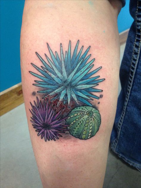 Sea urchin tattoo. By Mike Bean, Lucky Gal Tattoo, Ankeny, Iowa Sea Urchin Tattoo, Sand Dollar Tattoo, Anemone Tattoo, Coral Tattoo, Mermaid Sleeve Tattoos, Sea Life Tattoos, Seashell Tattoos, Shell Tattoos, Timeless Tattoo