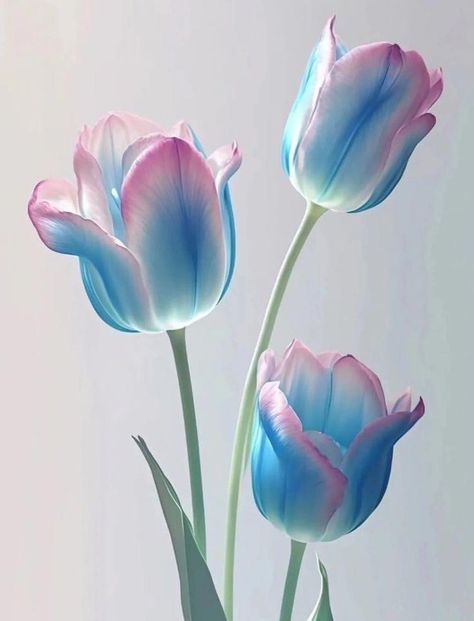 Wallpaper Themes, Tulips Art, Awesome Wallpapers, Flower Art Drawing, Lovely Flowers Wallpaper, Blue Tulips, Flower Iphone Wallpaper, Cute Flower Wallpapers, Scenery Nature