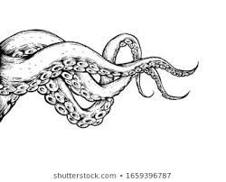 Tentacle Drawing, Tentacle Tattoo, Tentacle Art, Octopus Drawing, Octopus Tattoo Design, Octopus Tattoos, Journal 2024, Illustration Board, Octopus Tattoo