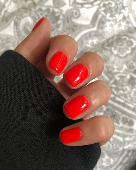 Michelle on Instagram: "Ruth @dndgel (regular lacquer) This is the most perfect Neon Red!! My camera had a hard time fully grabbing the red, but I promise it’s not orange leaning! I love this so much. Neon red is hard to find, and this is a good one ☝️ You can use code ‘nailsncolour’ for 10% off DND products on their website ✨ *gifted/pr #dndruth #dndregularpolish #dndnails #nailsofinstagram #nailsoftheday #notd #naturalnails #shortnails #diymani #athomemani #nailpolishcollection #nailp Red Orange Gel Polish, Red Orange Pedicure, Dnd Shocking Orange, Red Orange Gel Nails, Orange Red Nails Summer, Short Red Orange Nails, Bright Red Pedicure, Neon Red Orange Nails, Short Red Summer Nails