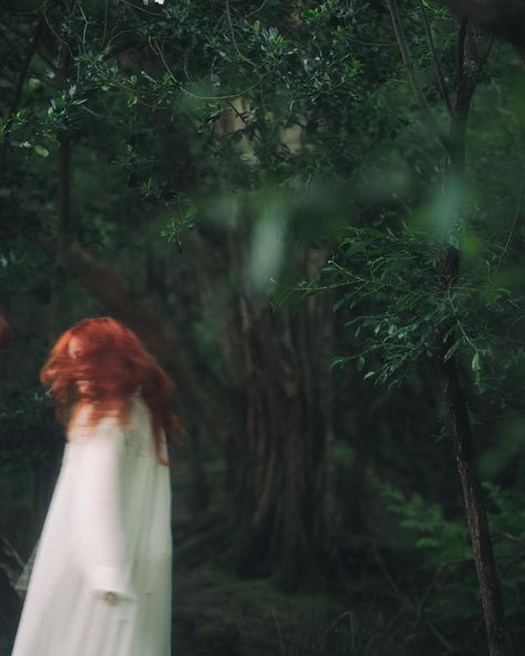 Gather with us at midnight, dear sisters, under the ancient yew tree. Let’s deepen our connection to the earth and each other, conversing in stars and stone. Photos at twilight, a coven with @sacredclan , @ciaraswildisland and @faeriefernie - 📍 Ballaugh Curraghs, Isle of Man - #SisterhoodGathering #EarthConnection #SisterhoodRituals #NatureConnection #StarlitGathering #YewTreeMagic #EarthlyBonding #MidnightMysteries #Witches #WildandFree #SacredClan #IsleofMan #IsleofManAesthetic Dark Cottage Core Aesthetic, Ancient Yew Tree, Welsh Witch, Witchcraft Aesthetic, Dark Cottage Core, Yew Tree, Bad Apple, Dear Sister, Cottage Core Aesthetic