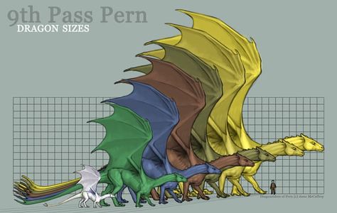 Dragon Size Chart, Dragonriders Of Pern, Inheritance Cycle, Anne Mccaffrey, Cool Dragons, Fairy Dragon, Dragon Rider, Nerd Life, Wings Of Fire