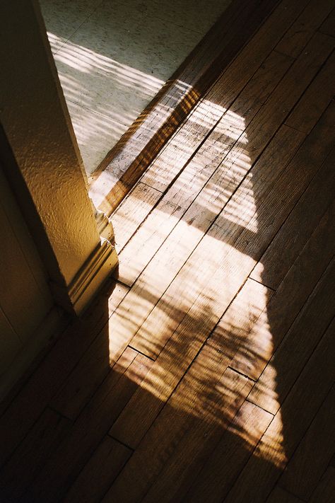 Luz Natural, Chiaroscuro, Foto Inspiration, Morning Light, The Shadow, Slow Living, Fotografi Potret, On The Floor, Narnia