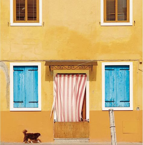 Typical Home | Accidentally Wes Anderson Wes Anderson Yellow, Accidentally Wes Anderson, Full Rainbow, Veneto Italy, Mood Colors, Wes Anderson, Home Photo, Pretty Places, View Map