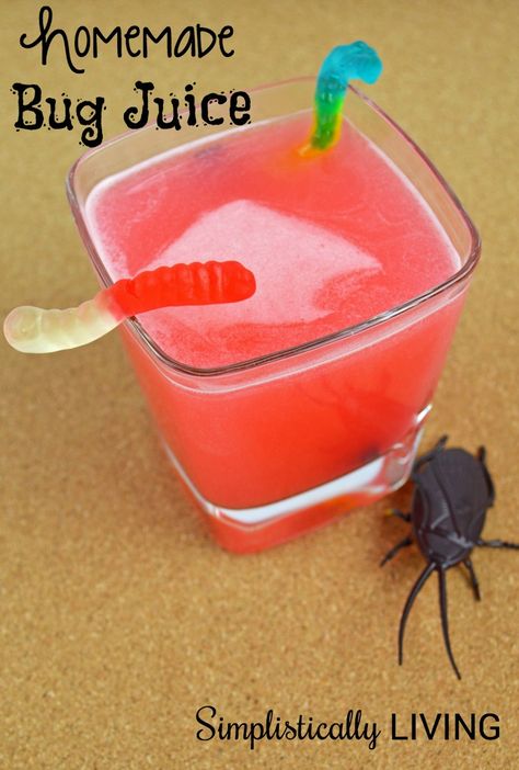 Homemade Bug Juice Simplistically Living Bug Food, Disney Movie Night Food, Bug Snacks, Bug Juice, Halloween Party Snacks, Insects Theme, Juice Drinks, Dinner Themes, A Bug