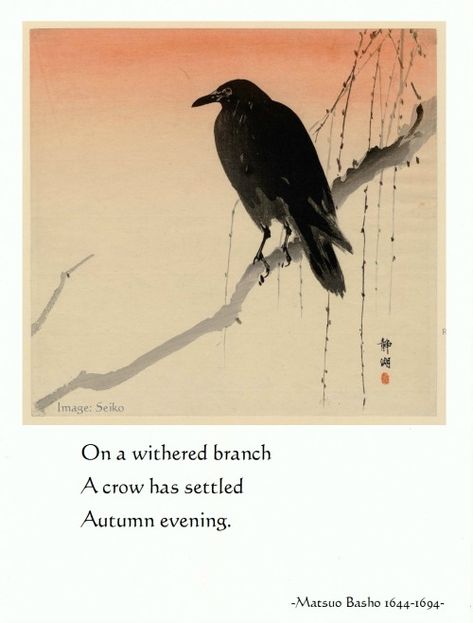 On a withered branch A crow has settled - Autumn evening. - Basho, 1644-1694. Japanese haiku poet and diarist #haiku #japanese #poetry #basho Matsuo Basho Haiku, Asian Poetry, Zen Poetry, Zen Proverbs, Matsuo Basho, Chuang Tzu, Draw Wings, Raven Artwork, Japanese Haiku