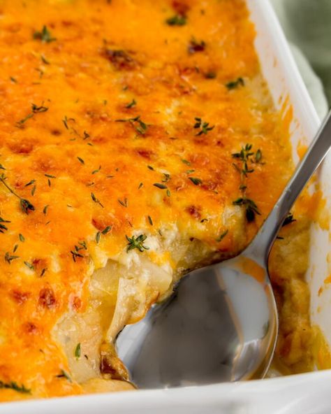 All Recipes Archives - Page 17 of 70 - Carmy - Easy Healthy-ish Recipes Potatoes Au Gratin, Prepped Lunches, All Recipes, Lunch Meal Prep, Meal Prep For The Week, Roasted Garlic, Caramelized Onions, Family Favorites, Meals For One