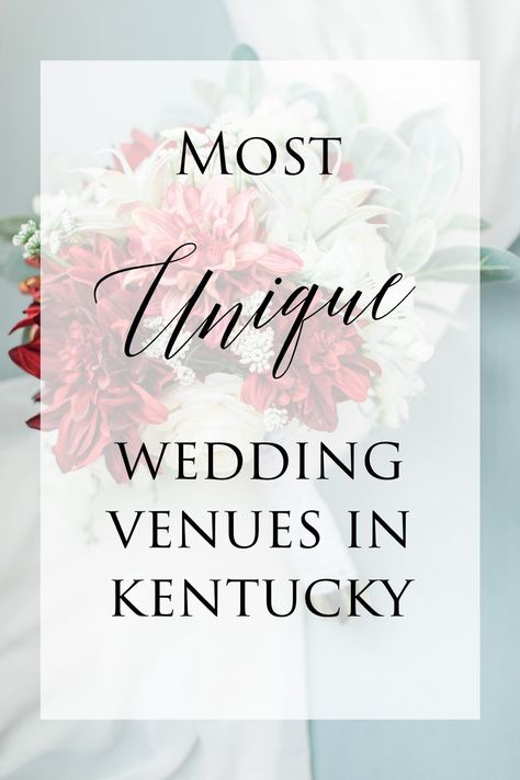 Most Unique Wedding Venues in Kentucky Ky Wedding Venues, Kentucky Wedding Favors, Castle And Key Distillery Wedding, Kentucky Tourism, The Kentucky Castle Wedding, Kentucky Wedding Venues, Cheap Wedding Venues, Kentucky Wedding, Authentic Wedding