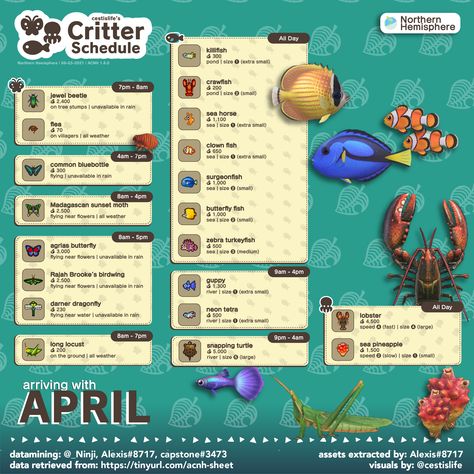 October Animal Crossing, Animal Crossing Fish, Neon Tetra, Sunset Moth, Butterfly Fish, Animal Crossing Guide, Animal Crossing Wild World, New Animal Crossing, Animal Crossing Qr