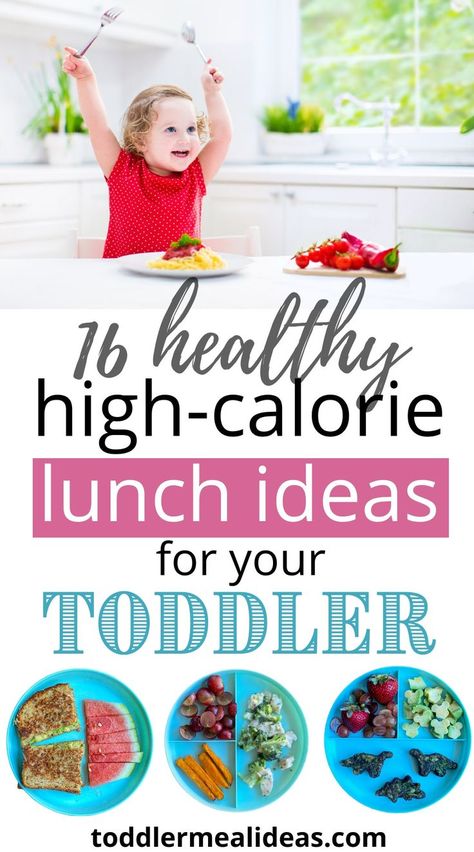 High Calorie Lunches, Blw Lunch, High Calorie Baby Food, Losing 50 Pounds, High Calorie Breakfast, Lunches Healthy, Meal Plan For Toddlers, Easy Toddler Lunches, Toddler Lunch Ideas