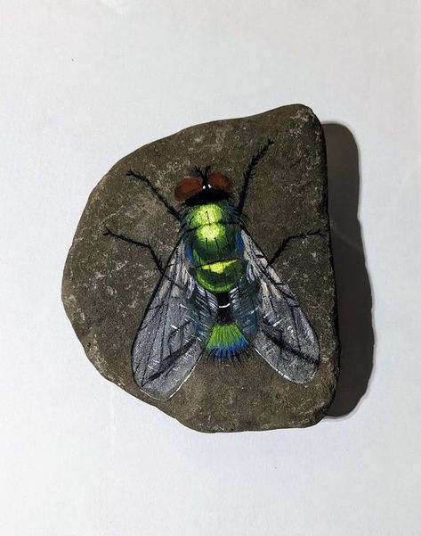 painting rocks! | I was being bothered by a Fly while trying to decide what to paint on this rock...so I did a portrait of him😊😂💚 | Facebook Fly Painting, What To Paint, Painting Rocks, Amphibians, Rock Painting, Painting Ideas, Painted Rocks, Insects, Paint