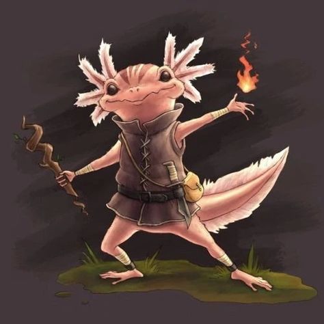 Made an custom Axolotl race for my pathfinder character. Some cute art I found that inspired them - aww post - Imgur Pathfinder Character, Dungeons And Dragons Characters, Dnd Art, D&d Dungeons And Dragons, Creature Concept, Dnd Characters, A Fire, Creature Art, Fantasy Character Design