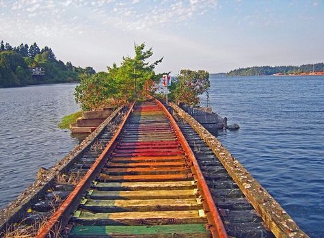 Rainbow Train Track in Olympia Washington Olympia Washington Aesthetic, Fandom Aesthetic, Washington Vacation, Vision Bored, Olympia Washington, Washington Travel, Train Tracks, Little Houses, Washington State