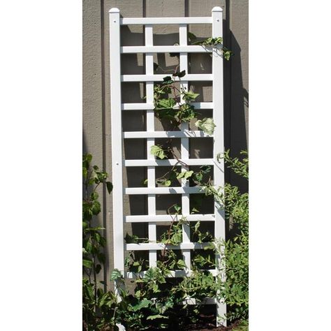 Have to have it. Dura-Trel Providence 6.25-ft. Vinyl Wall Trellis - White $54.98 Vinyl Lattice Panels, Pvc Garden, Wall Trellis, White Trellis, Arbors Trellis, Cheap Pergola, Pergola Swing, Garden Arbor, Indoor Herb Garden