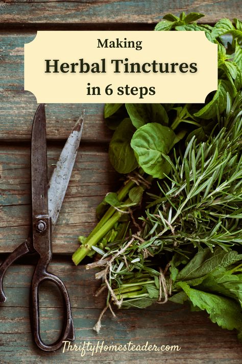 Medicinal Herbs Remedies, Homemade Medicine, Canned Tomato Juice, Tinctures Recipes, Natural Cleaning Solutions, Herbal Tinctures, Holy Basil, Home Health Care, Healing Herbs