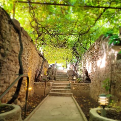 Hobbit Garden, Underground Garden, Retirement Activities, Ancient Roman Architecture, Underground Homes, Fresno California, Writing Board, Kings Canyon, Central Valley