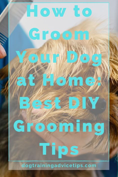 There are numerous dog grooming procedures that you may safely do in the privacy of your own home. Here are some of the best DIY grooming tips! #dogtrainingadvicetips #dogcare #doghealth #dogtips #dogs Diy Dog Grooming Hammock Pattern, Dog Grooming Tips At Home, Dog Grooming At Home, Grooming Hacks, Dog At Home, Dog Grooming Tips, Daily Hacks, Dog Health Tips, Dog Training Advice