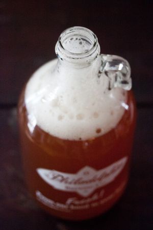 German Home, Diy Kombucha, Ginger Soda, Ginger Bug, How To Brew Kombucha, Homemade Soda, Kombucha Tea, Home Brew, Milk Shakes