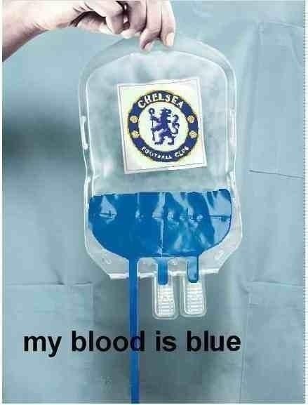 Chelsea Fc Team, Funny Soccer Pictures, Chelsea Fc Stamford Bridge, Chelsea Football Club Wallpapers, Chelsea Football Team, Chelsea Fc Wallpaper, Chelsea Fc Players, Chelsea Wallpapers, Bayer Munich