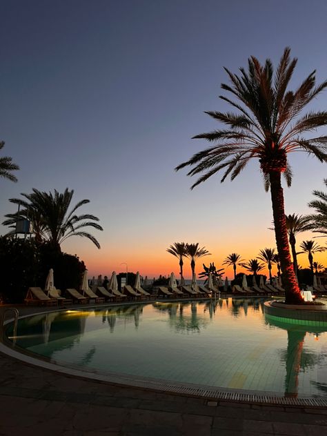 #pool #hotel #vacation #sunset #aesthetic #palmtrees #colors #water Pool Sunset, Sunset Vacation, Pool Hotel, Hotel Vacation, Sunset Aesthetic, Garden Pool, Pool Days, Golden Hour, Palm Trees