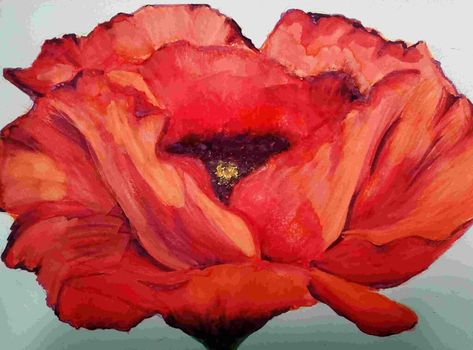 GEORGIA O’KEEFFE FLOWERS Georgia Okeefe Poppy, Georgia Okeeffe, Georgia Okeefe Flower Paintings, Georgia Okeefe Watercolors, Georgia O'keefe Flowers, Georgia Okeefe Skull Paintings, Famous Flower Paintings, Georgia Okeefe Oil Pastel Flowers, Georgia O'keeffe Portrait