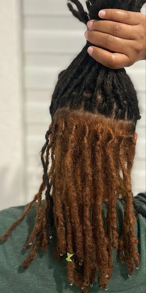 Peekaboo Locs Brown, Dyed Dreads Ideas, Peek A Boo Locs, Locs Peekaboo, Brown And Black Locs, Peekaboo Dreads, Peekaboo Locs, Two Strand Locs, Loc Dye