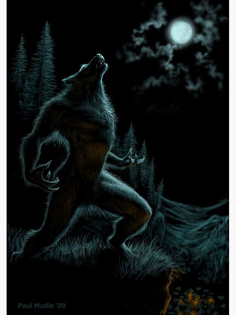 "Howl of the Werewolf" Poster by pmoodie | Redbubble Female Werewolves, The Werewolf, Werewolf Art, Vampires And Werewolves, Wolf Wallpaper, Wolf Spirit, Mythical Creatures Art, A Wolf, Wolf Art