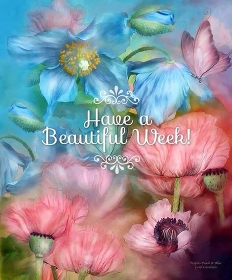 Good Week monday monday quotes happy monday have a great week monday quote happy monday quotes Happy Monday Quotes, Blessed Week, Poppy Garden, Creation Photo, Happy Week, Poppy Painting, Monday Quotes, Good Week, Good Morning Good Night