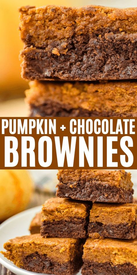 From Scratch Brownies, Scratch Brownies, Autumn Gathering, Weekday Recipes, Pumpkin Brownies, Chocolate Chip Brownies, Pumpkin Chocolate Chip, Suga Suga, Pumpkin Chocolate Chips