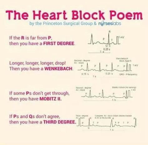 Heart Block song! Physician Assistant Student, Ekg Interpretation, Paramedic School, Nursing Cheat, Nursing Mnemonics, Pa School, Heart Blocks, Cardiac Nursing, Nursing School Survival