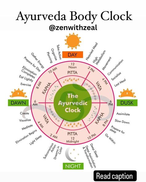 The Ayurvedic body clock, or "circadian rhythm" in Ayurveda, emphasizes living in harmony with natural cycles to promote health and well-being. Here's an overview of the daily cycles: 6:00 AM - 10:00 AM: Kapha Time - **Characterized by**: Earth and water elements, slow and steady energy. - **Activities**: Gentle exercise, a light breakfast, and beginning the day's tasks. 10:00 AM - 2:00 PM: Pitta Time - **Characterized by**: Fire element, high energy, and digestion. - **Activities**: Focus ... Ayurveda Clock, Ayurvedic Clock, Digestion Activities, Gentle Exercise, Natural Cycles, Living In Harmony, Body Clock, Light Breakfast, Body Detoxification