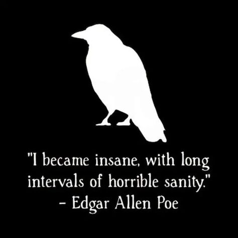 Author Edgar Allan Poe Edgar Allen Poe Outfit Women, Edger Allen Poe Quotes Poetry, Poe Aesthetic, Bsd Quotes, Edgar Allen Poe Poems, Edgar Allen Poe Quotes, Edgar Allan Poe Quote, Quotes Men, Poe Quotes