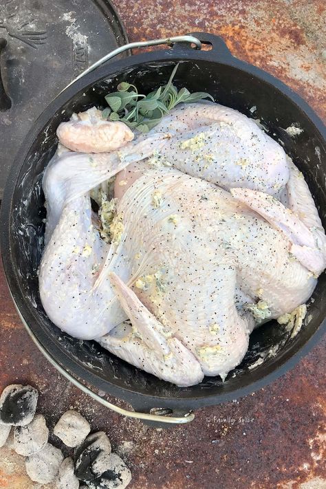 This Dutch Oven Roast Turkey is smothered in garlic sage butter and will turn your outdoor Thanksgiving into a fragrant traditional feast. It can be cooked on the campfire or grill or even indoors in a regular oven. #dutchoven #camping #camprecipes Dutch Oven Turkey, Dutch Oven Roast, Oven Turkey, Moist Stuffing, Acorn Squash Roasted, Outdoor Thanksgiving, Best Dutch Oven, Turkey Broth, Oven Roasted Turkey