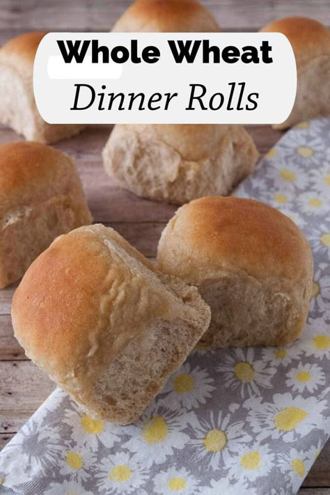 Looking for a healthy dinner roll option? Try my whole wheat dinner rolls. Not only are they fluffy, they are easy to make, contain honey and are eggless! Whole Wheat Dinner Rolls, Oatmeal Dinner, Wheat Dinner Rolls, Wheat Rolls, Whole Wheat Rolls, Healthy Honey, Dinner Roll, Homemade Rolls, Easy Rolls