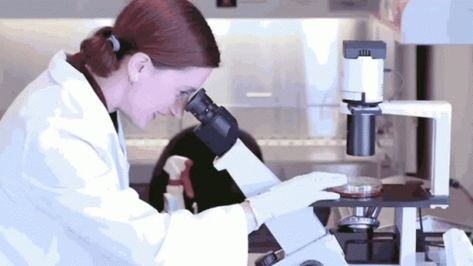 Scientist Looking Through Microscope GIF - Science Scientist Research - Discover & Share GIFs Looking Through Microscope, Research Scientist, Biology, Animated Gif, Cool Gifs, Gif, Science