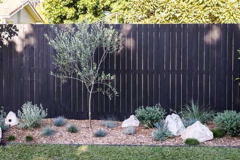 My Backyard Makeover — Adore Home Magazine Vertical Fence, Australian Garden Design, Australian Native Garden, Australian Garden, Coastal Gardens, Landscaping Supplies, Native Garden, Home Magazine, Backyard Fences