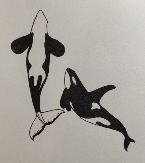 Orca Ink Drawing, Simple Orca Drawing, Orca Whale Sketch, Orca Aesthetic Art, Orca From Above, Aesthetic Whale Drawing, Orca Tattoo Back, Orca Drawing Pencil, Orca Drawing Realistic